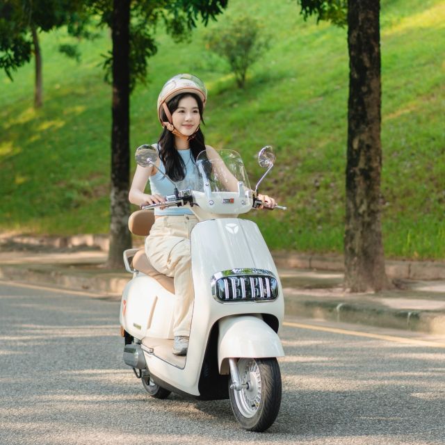 XE ĐIỆN TAILG