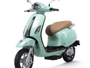 Xe máy điện Tailg R51