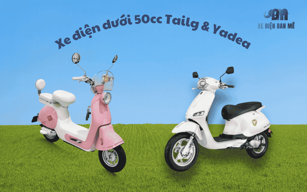 Xe điện dưới 50cc Tailg & Yadea