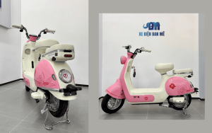 xe đạp điện nữ sinh